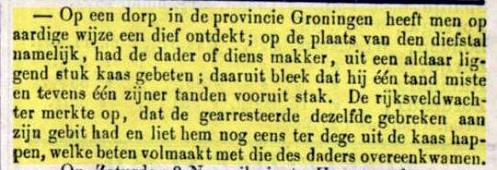 Geplaatst op 23 juli 2011