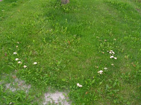 KONICA MINOLTA DIGITAL CAMERA