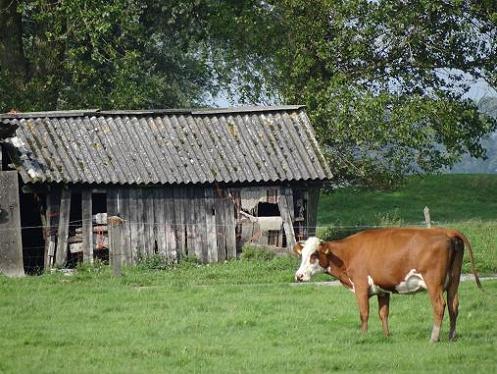 Geplaatst op 14 augustus 2011  b
