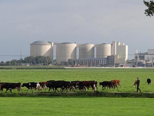 Geplaatst op 14 augustus 2011  d