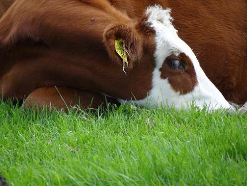 Geplaatst op 14 augustus 2011  f