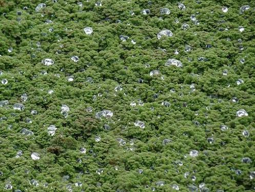 Geplaatst op 14 augustus 2011  g