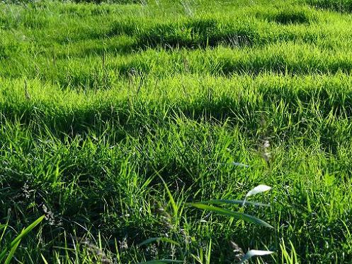 Geplaatst op 15 augustus 2011  a