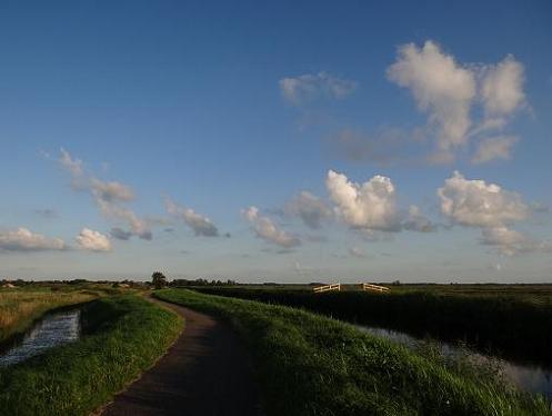 Geplaatst op 15 augustus 2011  b