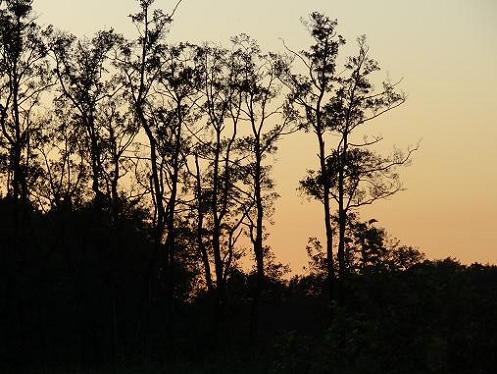 Geplaatst op 15 augustus 2011  c