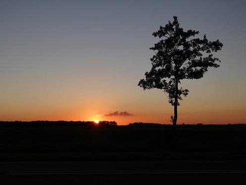 Geplaatst op 15 augustus 2011  d