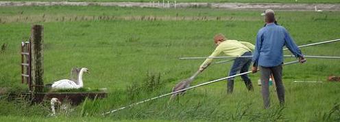 Geplaatst op 18 augustus 2011  a