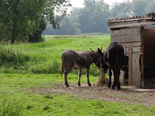 Geplaatst op 20 augustus 2011  b