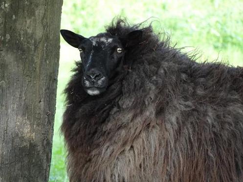 Geplaatst op 20 augustus 2011  m