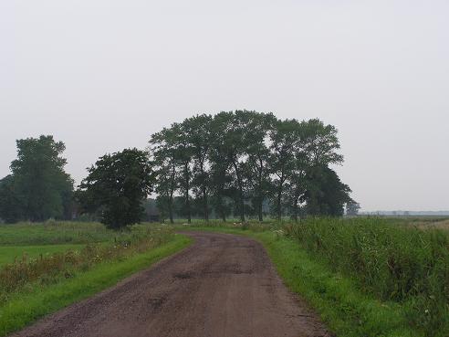 KONICA MINOLTA DIGITAL CAMERA