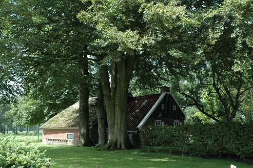 Geplaatst op 6 augustus 2011  c