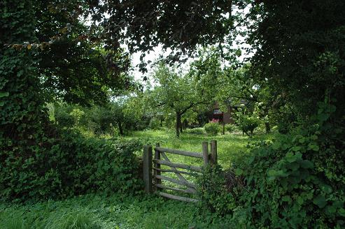 Geplaatst op 6 augustus 2011  g