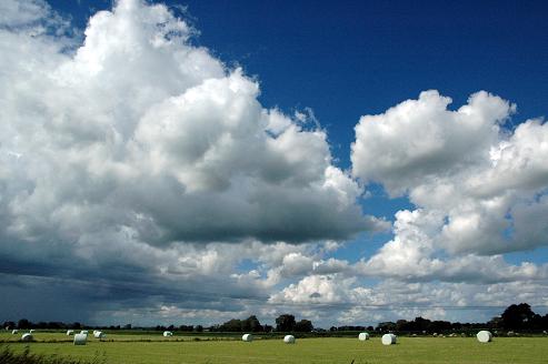 Geplaatst op 7 augustus 2011 a