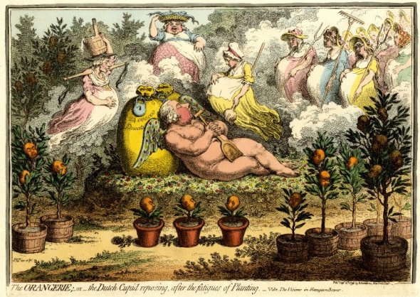 Bijkomen van de aanplant