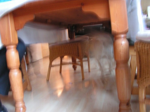 KONICA MINOLTA DIGITAL CAMERA