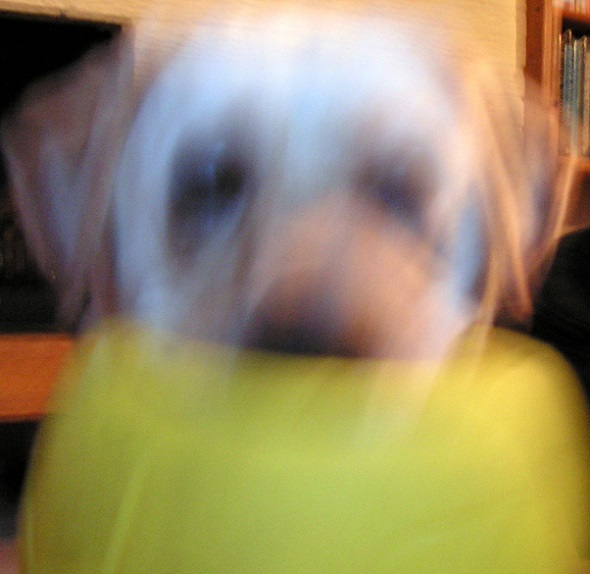 KONICA MINOLTA DIGITAL CAMERA