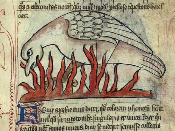 Uit het Bestiarium van Anne Walsh, ca. 1400. KB Kopenhagen.