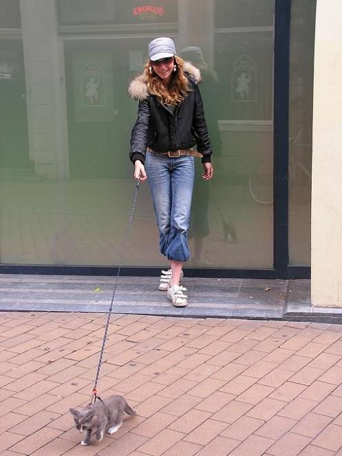 KONICA MINOLTA DIGITAL CAMERA