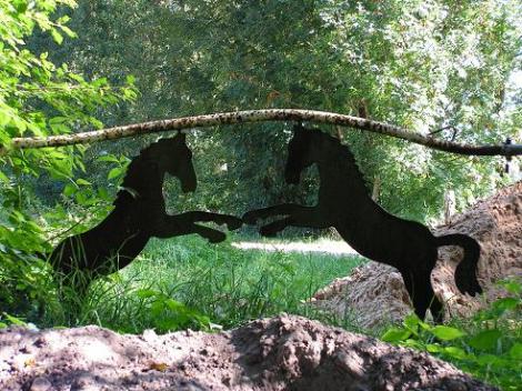 KONICA MINOLTA DIGITAL CAMERA