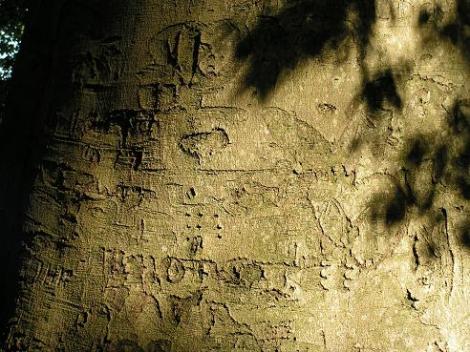 KONICA MINOLTA DIGITAL CAMERA