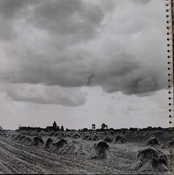 hooi 040 bij Westerwijtwerd