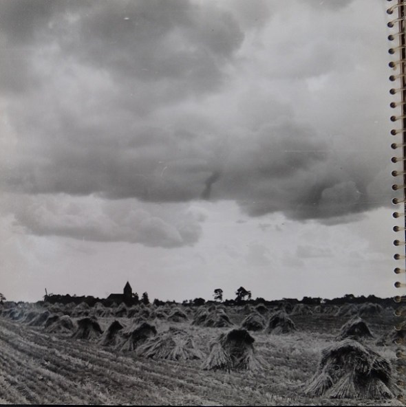 hooi 040 bij Westerwijtwerd