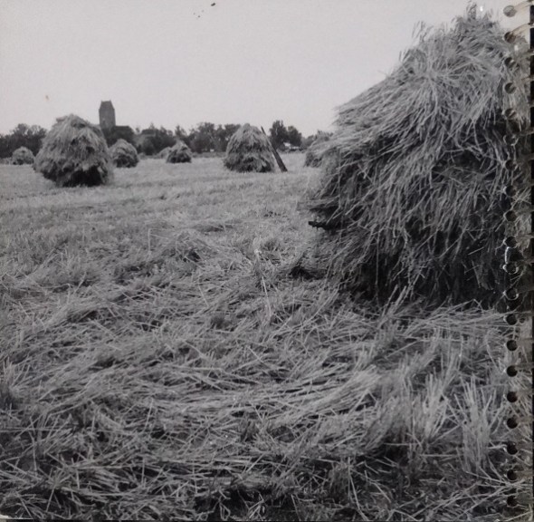 hooi 041 was 017 dacht ik bij Garnwerd