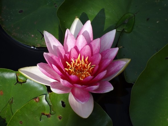 2015-07-10 126 was 117