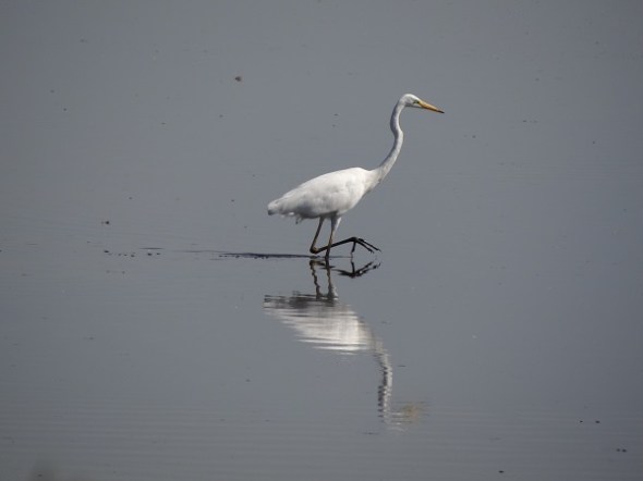 2015-08-09 111 was 115