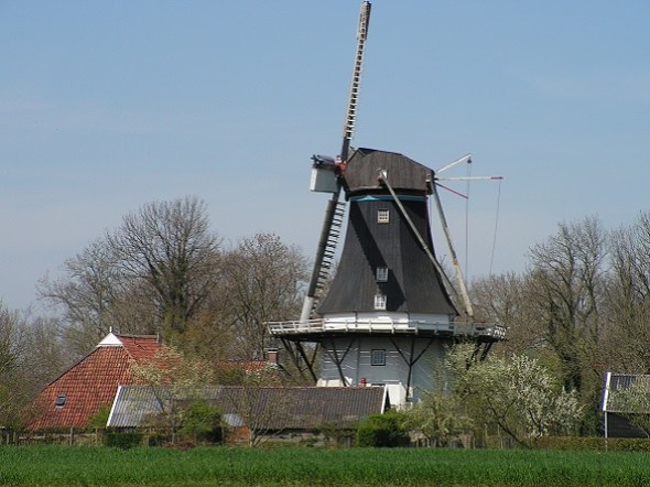 KONICA MINOLTA DIGITAL CAMERA