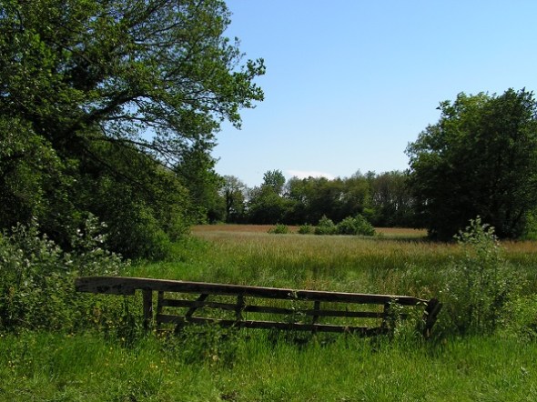 Tussen Anloo en Gasteren.