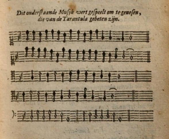 muziek-x-tarantulabeet