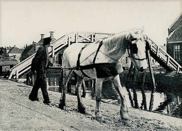 scheepsjager-met-schimmel