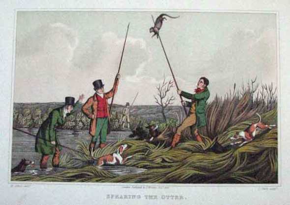 Henry Alken - Spearing an otter. Van deze bezigheid lijkt me de familienaam Otterspeer afgeleid.