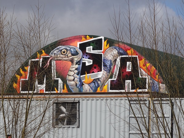 DSC03111 graffiti Peizerweg